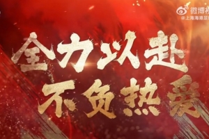 免费观看2026世界杯荷兰vs美国视频直播_无插件在线免费观看
