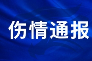 世界杯阿根廷vs克罗地亚_在线免费观看_免费视频录像回放