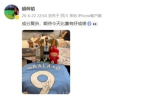 世界杯法国vs美国无插件直播_免费观看入口_赛后录像回放