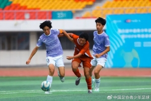第五届中青赛南京赛区暨南京市青少年足球联赛男子U15组收官-ny