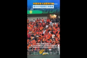 世界杯西班牙vs荷兰回放_高清免费直播_无插件在线观看入口