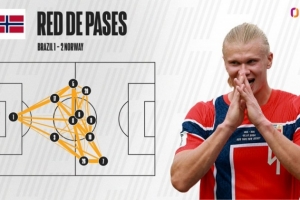 鲸鱼在哪直播_无插件在线免费观看